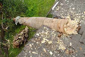 Damaged roofing material on a roof that needs repair
